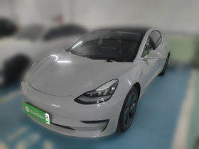 特斯拉 Model 3 2020款 改款 长续航后轮驱动版