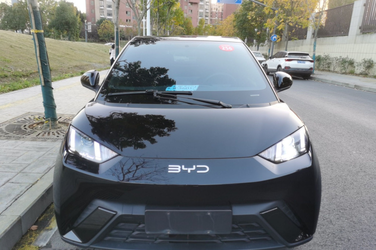 比亚迪 海鸥 2024款 荣耀版 305km 活力版车身外观6001