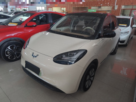 五菱汽车 五菱缤果 2025款 333km 灵犀互联款