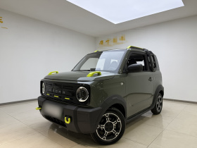 吉利银河 2024款 200km 熊猫骑士