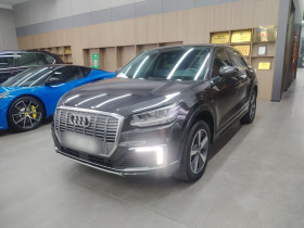 奥迪Q2L e-tron 2019款 Q2L e-tron 纯电智酷型