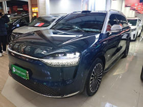 鸿蒙智行 问界M9 2024款 纯电 Ultra版 100kWh 5座版