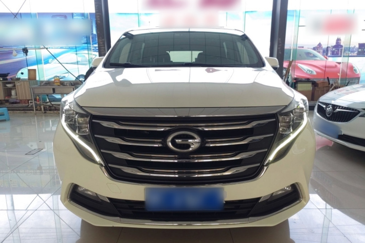 广汽传祺 传祺M8 2020款 390T 尊享版车身外观6001