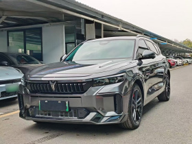 岚图汽车 岚图FREE 2025款 318 318km 后驱环游版