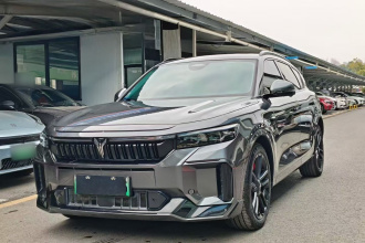 岚图汽车 岚图FREE 2025款 318 318km 后驱环游版