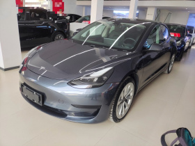 特斯拉 Model 3 2021款 标准续航后驱升级版 3D6