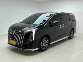 广汽传祺 传祺M8 2024款 大师系列 400T 至尊版