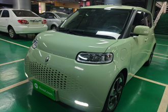 欧拉白猫 2020款 305km 豪华型