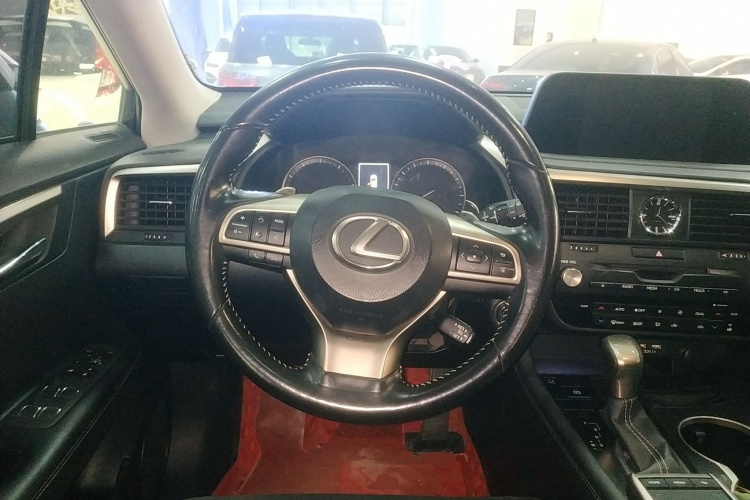 雷克萨斯RX 2020款 300 两驱精英版 国VI局部细节13