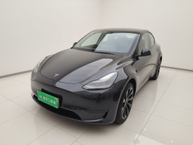 特斯拉 Model Y 2024款 后轮驱动版