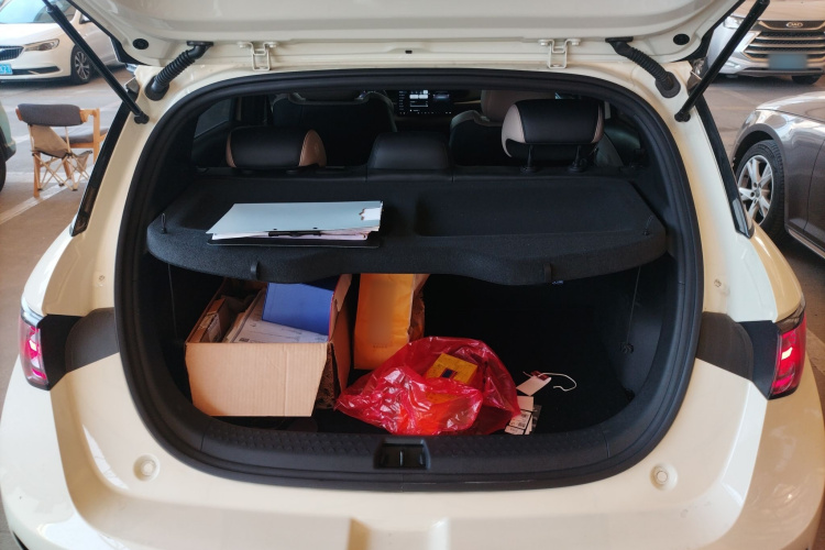 比亚迪 海豚 2025款 智驾版 420km 自由版局部细节23