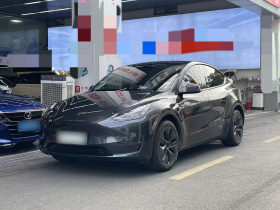 特斯拉 Model Y 2024款 长续航全轮驱动版