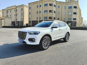 哈弗H6 2020款 1.5GDIT 自动铂金冠军版