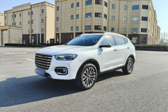 哈弗H6 2020款 1.5GDIT 自动铂金冠军版