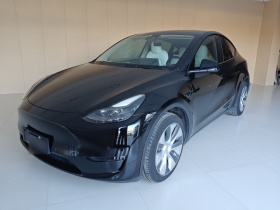 特斯拉 Model Y 2021款 长续航全轮驱动版 3D7