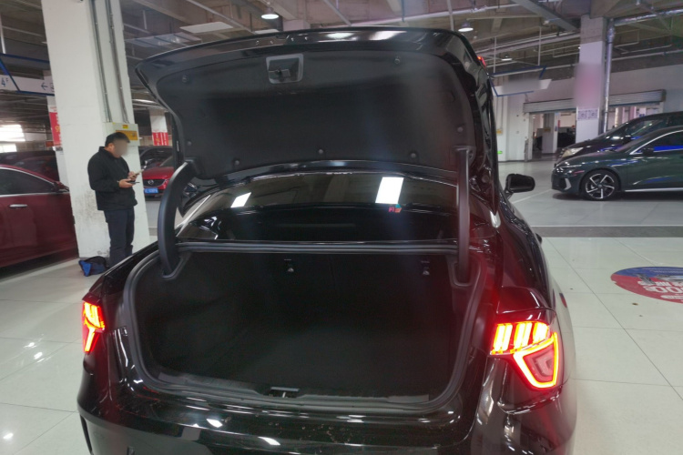 领克03 2021款 2.0TD 自动劲 冠军版局部细节23