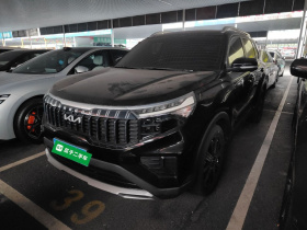 起亚 智跑 2021款 Ace 2.0L 精彩版