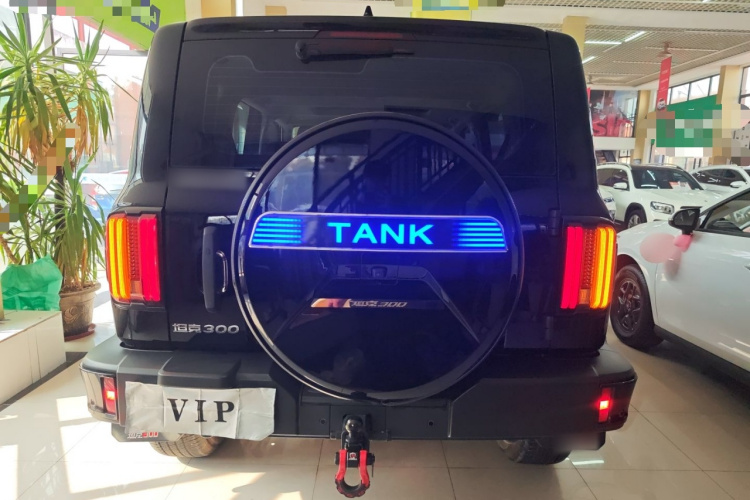 坦克300 2024款 2.0T 挑战者车身外观6