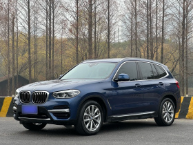 宝马X3 2020款  xDrive25i 豪华套装
