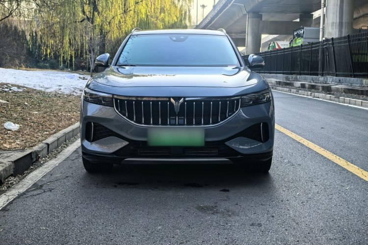 岚图汽车 岚图FREE 2021款 四驱标准增程专属豪华套装车身外观6001