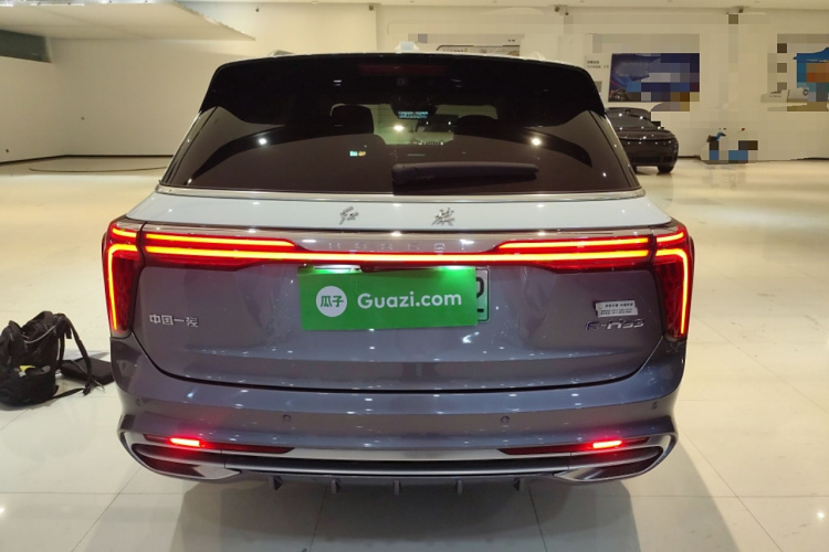 红旗E-HS9 2021款 510km 旗领版 四座车身外观6