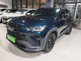 哈弗H6S 2022款 2.0T 两驱智跑版