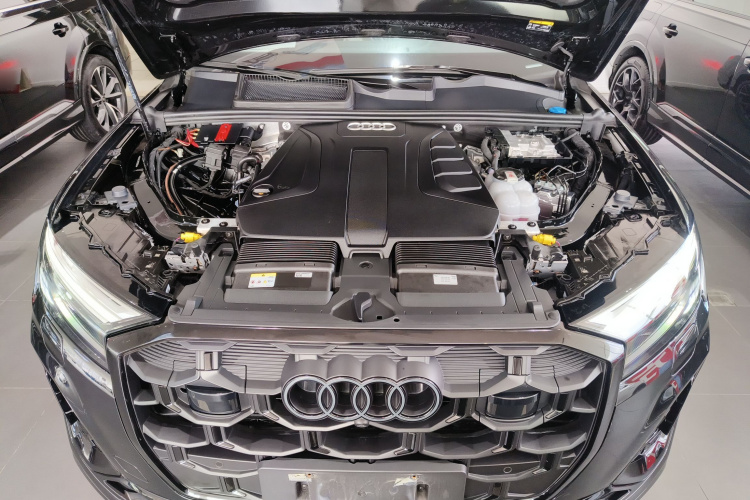 奥迪Q7 2024款 45 TFSI quattro S line黑武士型局部细节24