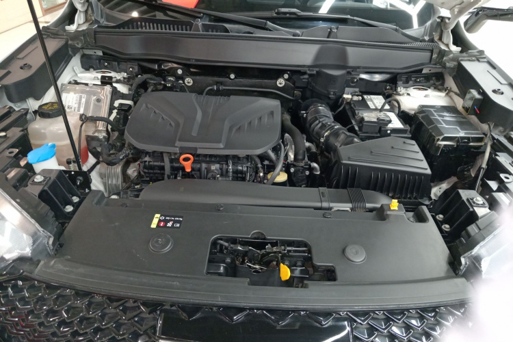 哈弗H6 2021款 第三代 2.0T 自动四驱Max机舱底盘24