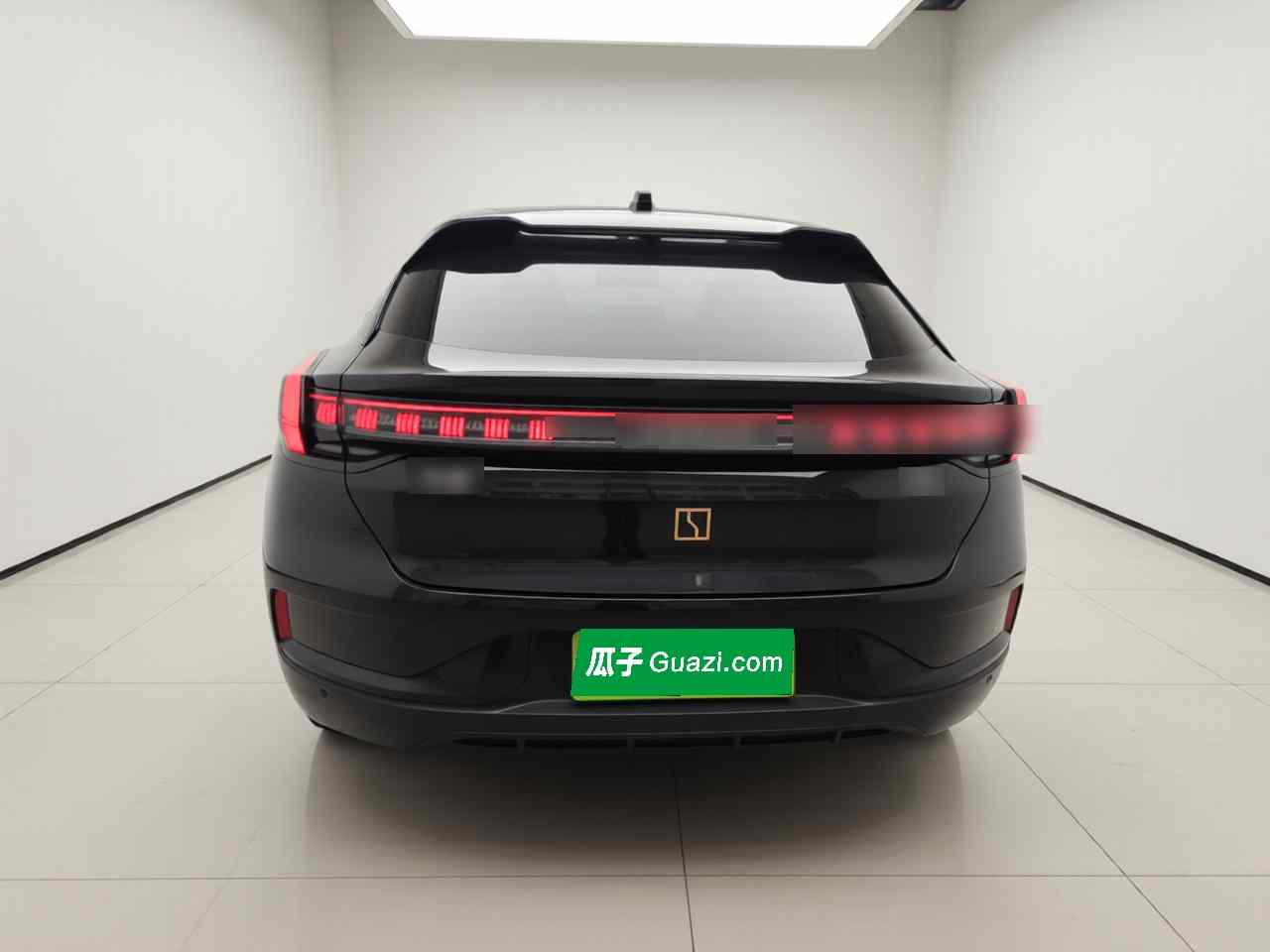 极氪001 2023款 YOU版 100kWh(4)