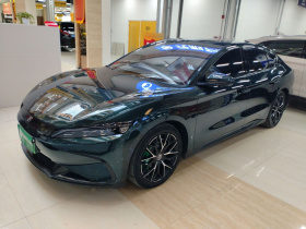 比亚迪 汉 2022款 EV 610KM四驱千山翠限量版