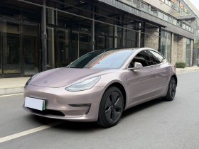 特斯拉 Model 3(进口) 2019款 长续航后驱版