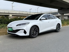 比亚迪 海豹06新能源 2024款 DM-i 80KM尊贵型