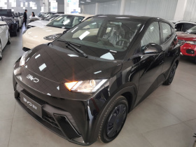 比亚迪 海鸥 2025款 305km 活力版