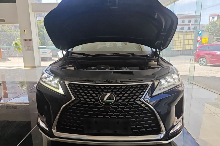 雷克萨斯RX 2020款 改款 300 四驱典雅版局部细节24