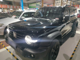 坦克300 2024款 2.0T 征服者