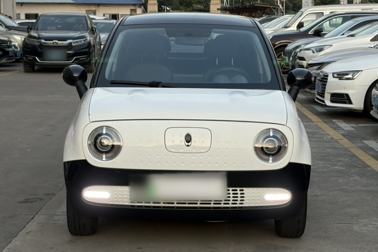 欧拉黑猫 2021款 351km 标准型车身外观6006