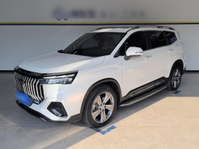 吉利汽车 豪越L 2023款 2.0T DCT旗舰型