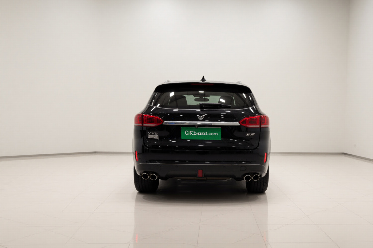 魏牌 VV6 2021款 2.0T 两驱智享+车身外观6