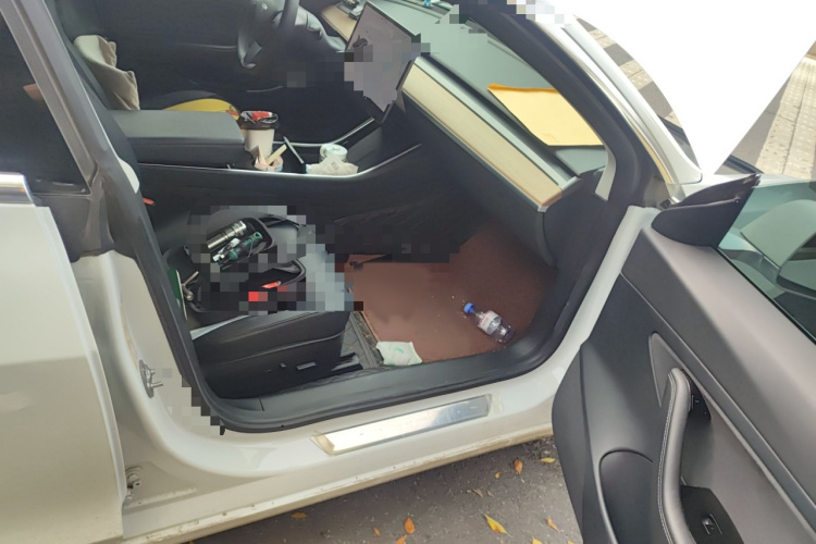 特斯拉 Model 3 2019款 标准续航后驱升级版局部细节9001