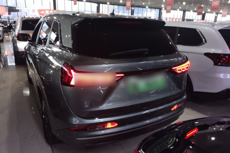 蓝电E5 2024款 荣耀版 100KM尊享型 7座车身外观6