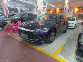 比亚迪 秦PLUS 2024款 荣耀版 DM-i 55KM领先型