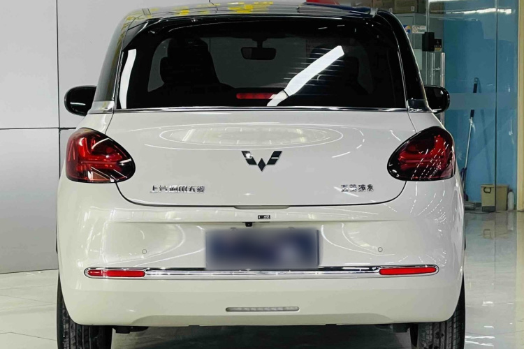 五菱汽车 五菱缤果 2024款 333km 悦享款车身外观6004