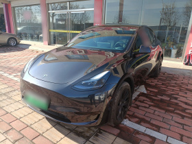 特斯拉 Model Y 2024款 后轮驱动版