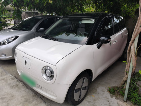 欧拉黑猫 2021款 301km 萌宠版