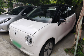 欧拉黑猫 2021款 301km 萌宠版