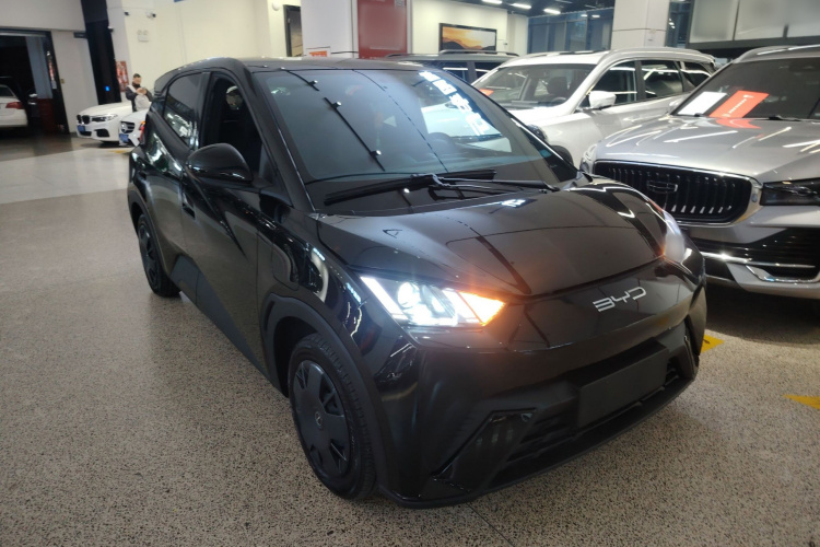 比亚迪 海鸥 2023款 活力版车身外观6002