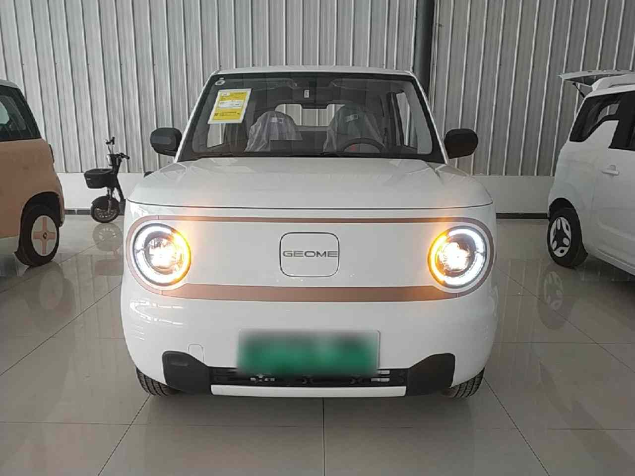吉利银河 2024款 熊猫mini 200km 耐力熊(1)