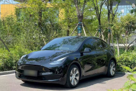 特斯拉 Model Y 2022款 改款 后轮驱动版