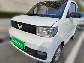 五菱汽车 宏光MINIEV 2020款 自在款 磷酸铁锂