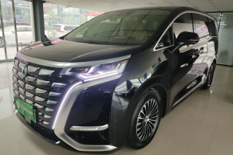 腾势D9 2024款 DM-i 980 四驱尊荣型